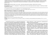 Photo of Факторы, влияющие на цену песка