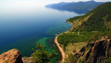 Photo of Уникальность природного мира Байкала